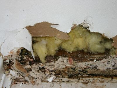 Professional water damage restoration services in Palo Verde, AZ - Quick Water Restoration